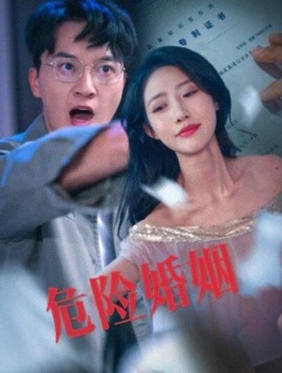 《危险婚姻》短剧高清全集免费在线观看
