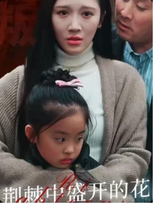 《荆棘中盛开的花》短剧高清全集免费在线观看
