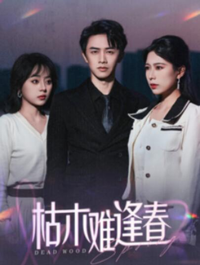 《枯木难逢春》短剧高清全集免费在线观看