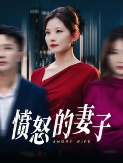 《愤怒的妻子》短剧高清全集免费在线观看