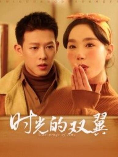 《时光的双翼》短剧高清全集免费在线观看