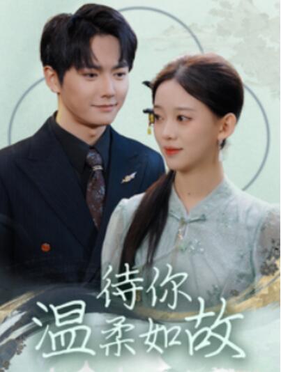 《待你温柔如故》短剧高清全集免费在线观看