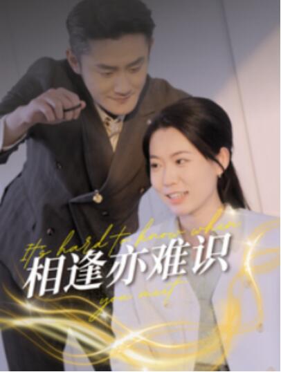 《相逢亦难识》短剧高清全集免费在线观看