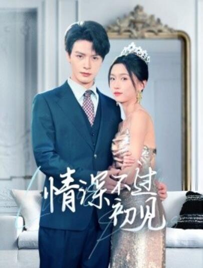 《情深不过初见》短剧高清全集免费在线观看