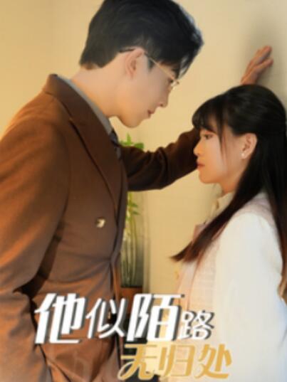 《他似陌路无归处》短剧高清全集免费在线观看