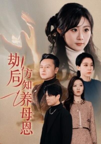 《劫后方知养母恩》短剧高清全集免费在线观看