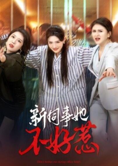 《新同事她不好惹》短剧高清全集免费在线观看