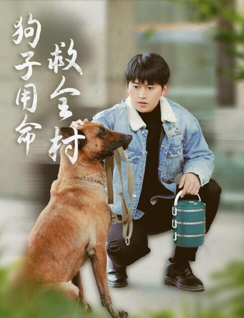 《狗子用命救全村》短剧高清全集免费在线观看