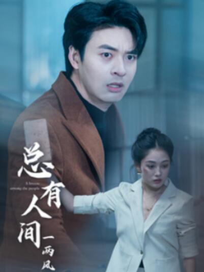 《总有人间一两风》短剧高清全集免费在线观看