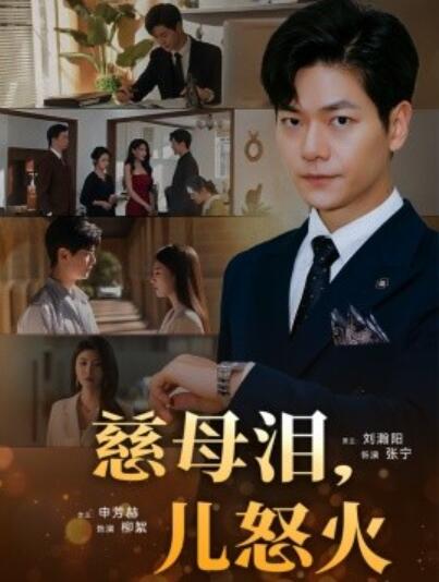 《慈母泪，儿怒火》短剧高清全集免费在线观看