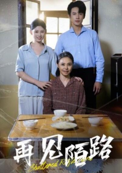 《再见陌路》短剧高清全集免费在线观看