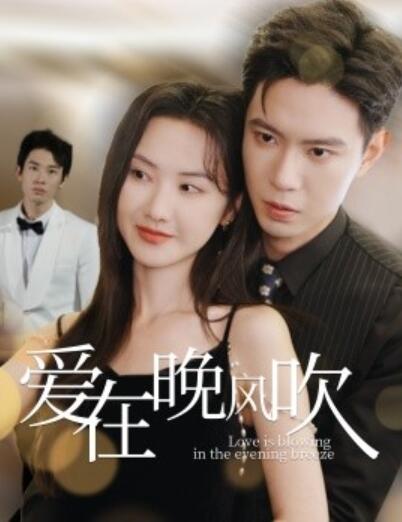 《爱在晚风吹》短剧高清全集免费在线观看