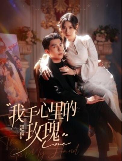 《我手心里的玫瑰》短剧高清全集免费在线观看