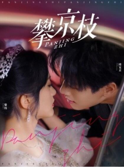 《攀京枝（展轩＆毛香淋）》短剧高清全集免费在线观看