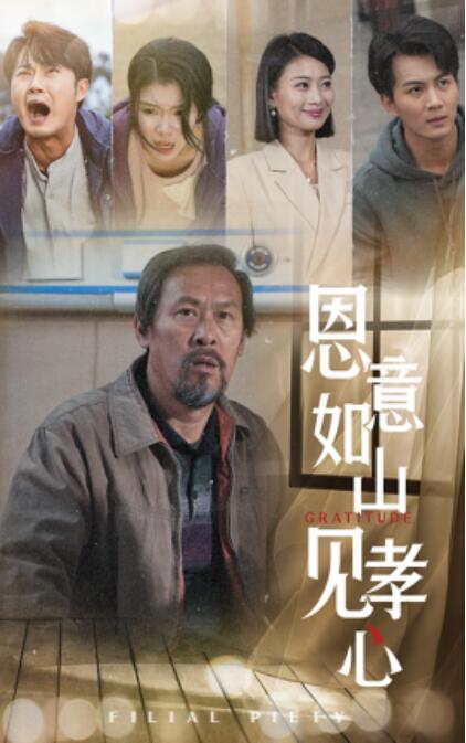 《恩意如山见孝心》短剧高清全集免费在线观看