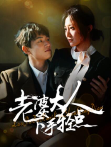 《老婆大人下手轻点》短剧高清全集免费在线观看