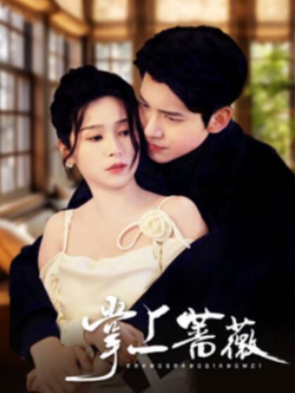《掌上蔷薇》短剧高清全集免费在线观看