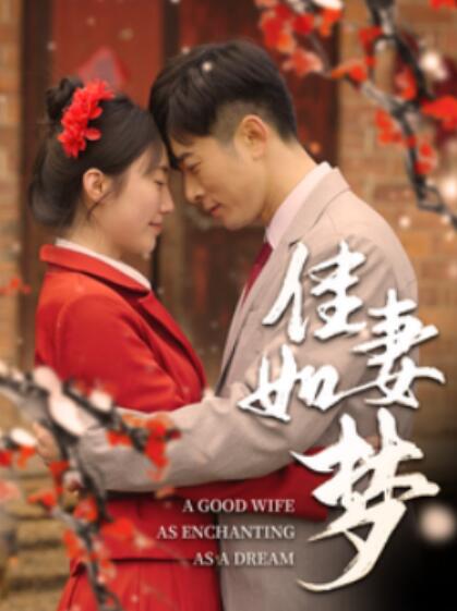 《佳妻如梦》短剧高清全集免费在线观看