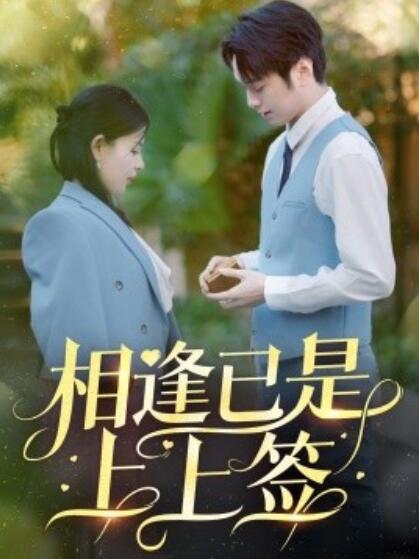 《相逢已是上上签》短剧高清全集免费在线观看