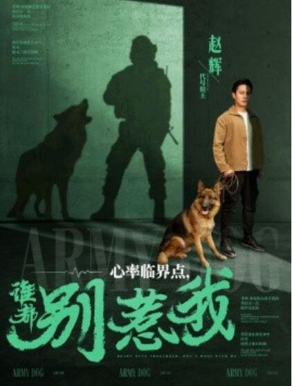 《心率临界点,谁都别惹我》短剧高清全集免费在线观看
