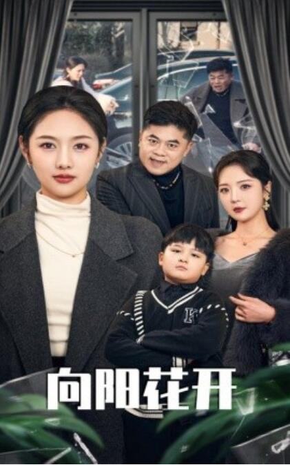 《向阳花开》短剧高清全集免费在线观看
