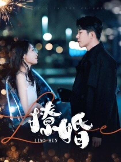 《撩婚》短剧高清全集免费在线观看