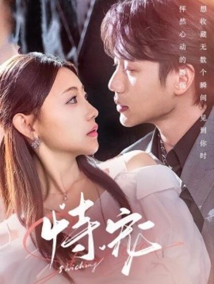 《恃宠》短剧高清全集免费在线观看