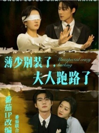 《薄少别装了，夫人跑路了》短剧高清全集免费在线观看