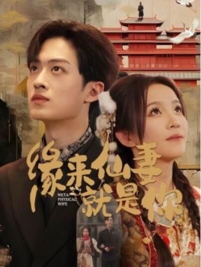 《缘来仙妻就是你》短剧高清全集免费在线观看