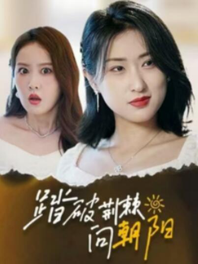 《踏破荆棘向朝阳》短剧高清全集免费在线观看