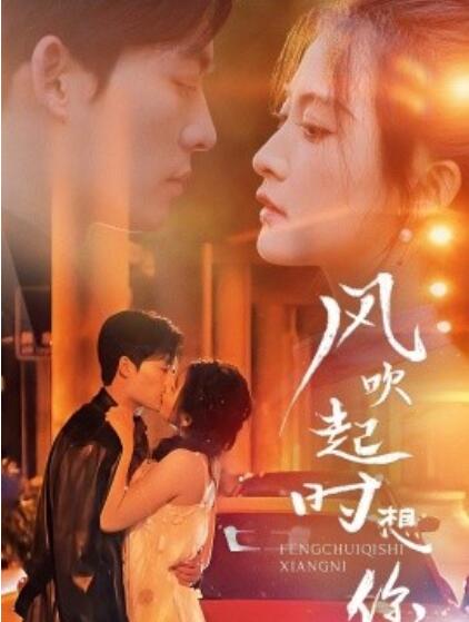 《风吹起时想你》短剧高清全集免费在线观看