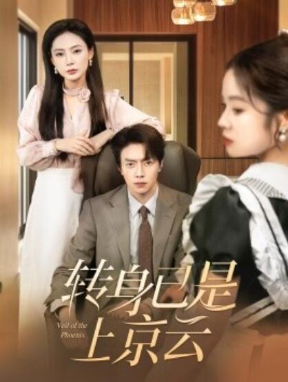 《转身已是上京云》短剧高清全集免费在线观看