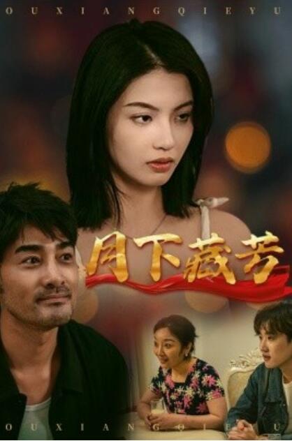 《月下藏芳》短剧高清全集免费在线观看
