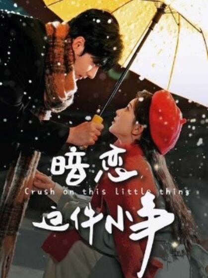 《暗恋这件小事》短剧高清全集免费在线观看