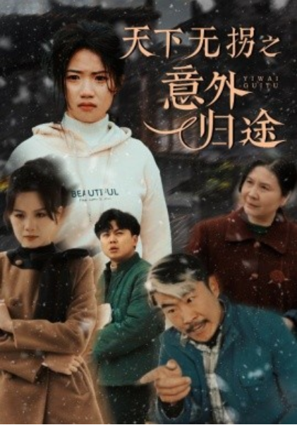 《天下无拐之意外归途》短剧高清全集免费在线观看