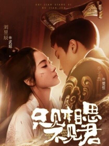 《只见相思不见君》短剧高清全集免费在线观看
