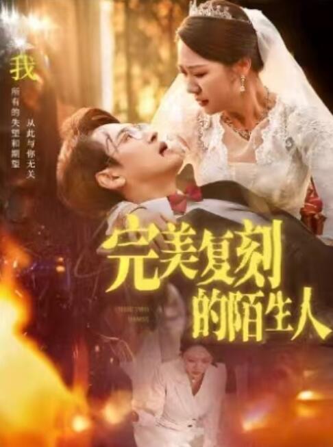 《完美复刻的陌生人》短剧高清全集免费在线观看