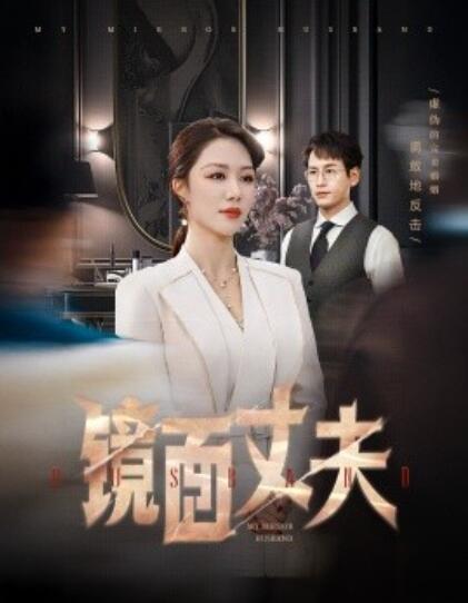 《镜面丈夫》短剧高清全集免费在线观看