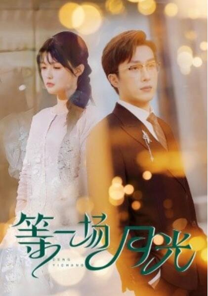 《等一场月光》短剧高清全集免费在线观看