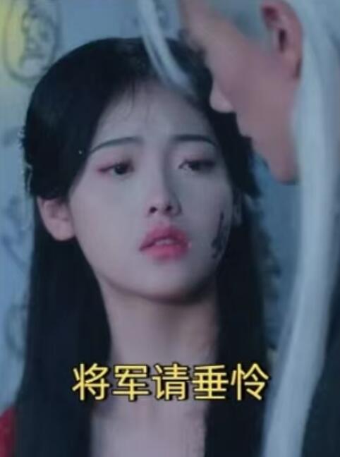 《将军请垂怜》短剧高清全集免费在线观看