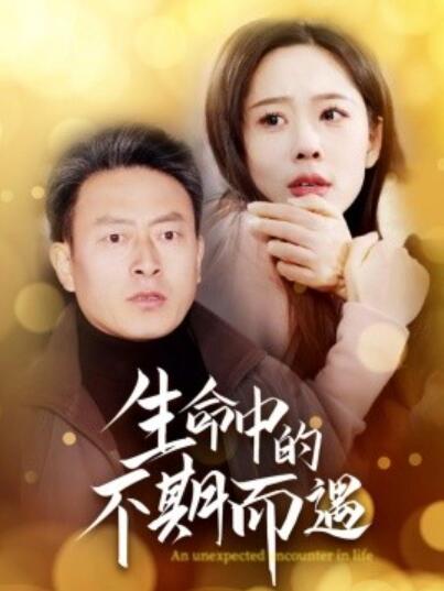 《生命中的不期而遇》短剧高清全集免费在线观看