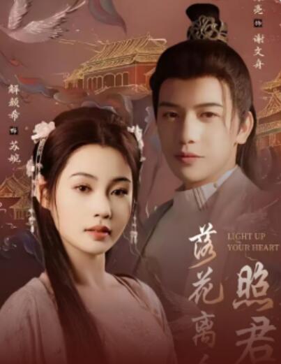 《落花离人照君心》短剧高清全集免费在线观看