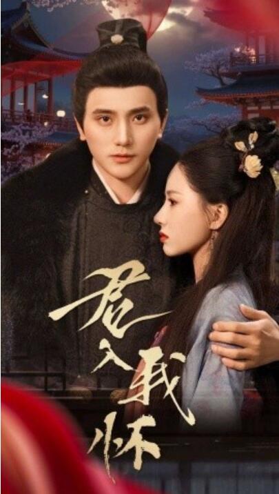 《君入我怀》短剧高清全集免费在线观看