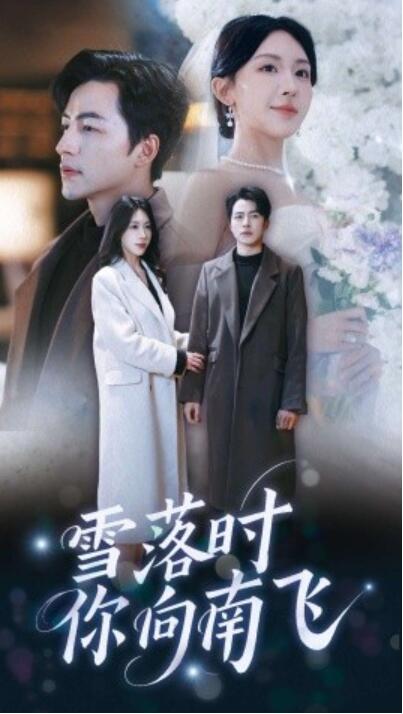 《雪落时你向南飞》短剧高清全集免费在线观看