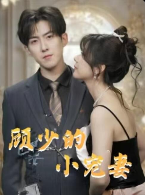 《顾少的小宠妻》短剧高清全集免费在线观看