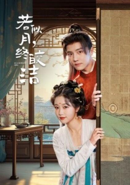 《若似月，终皎洁》短剧高清全集免费在线观看