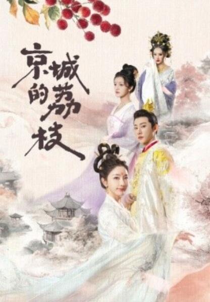 《京城的荔枝》短剧高清全集免费在线观看