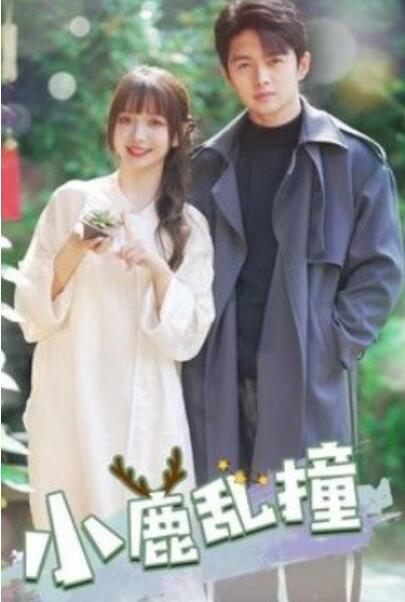 《小鹿乱撞》短剧高清全集免费在线观看