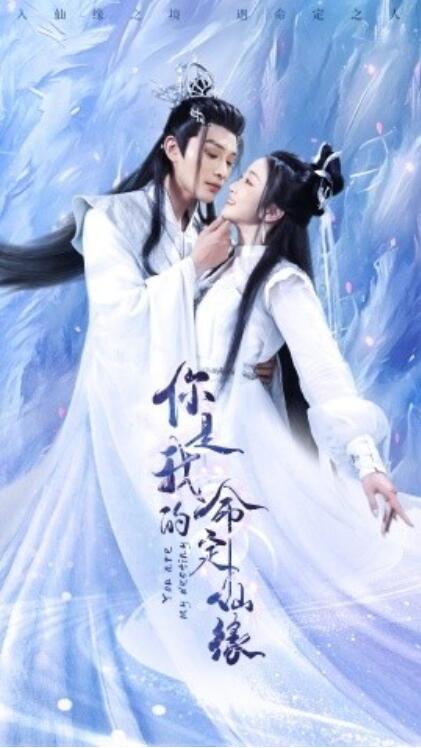 《你是我的命定仙缘》短剧高清全集免费在线观看