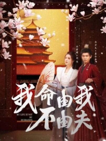 《我命由我不由夫》短剧高清全集免费在线观看